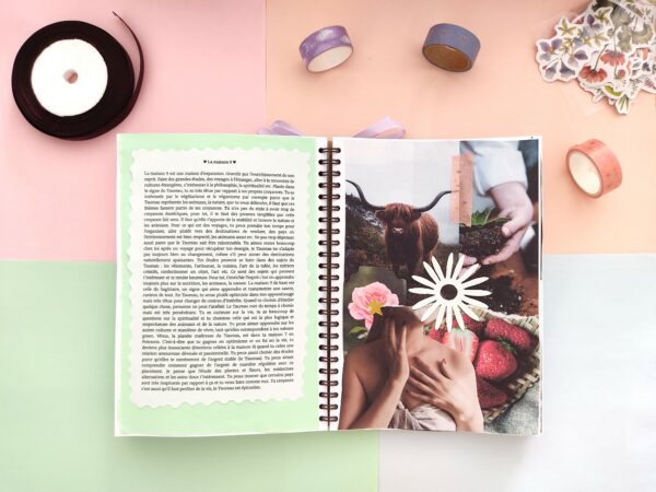 Ton thème astral interprété dans un carnet scrapbooking – Image 4