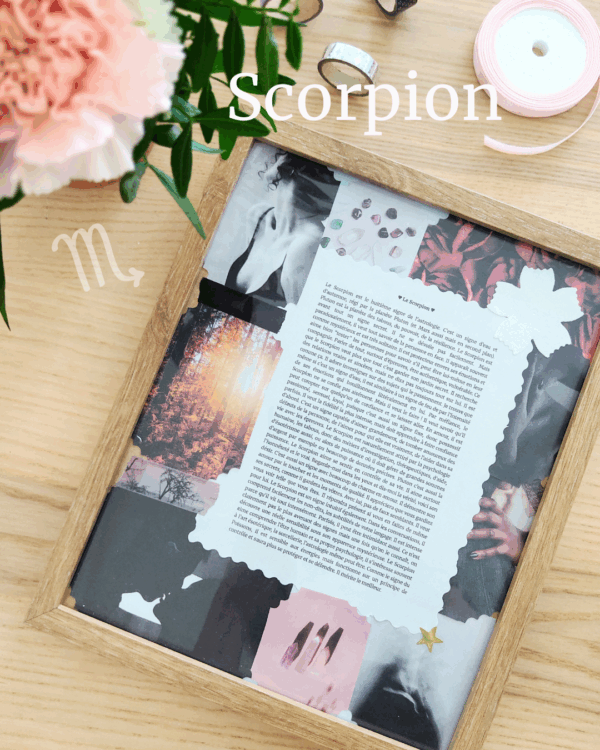 Cadeau signe Scorpion - Cadre scrapbooking
