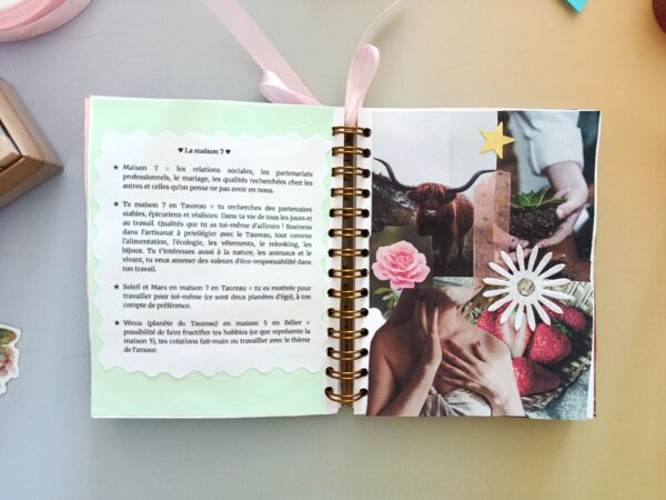 Astrologie métiers - Conseils personnalisés en petit carnet scrapbooking – Image 14